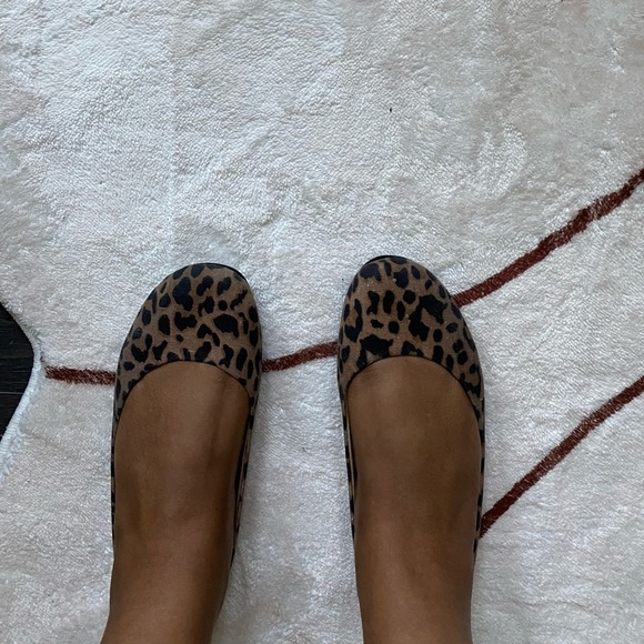 Leopard slides. - Picture 2 of 3